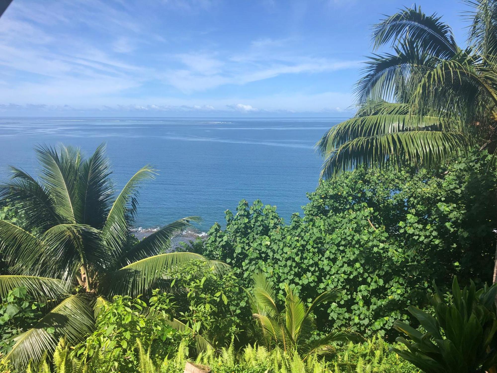 Maui Homestay Vue Ocean Exceptionnelle & Baleines En Saison Tohautu Dış mekan fotoğraf