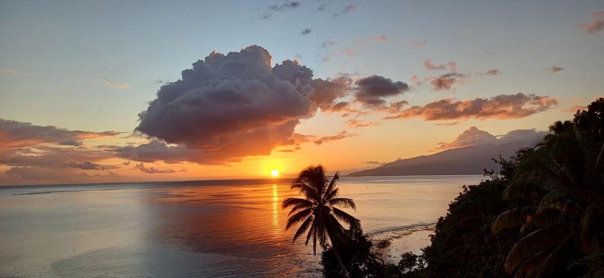 Maui Homestay Vue Ocean Exceptionnelle & Baleines En Saison Tohautu Dış mekan fotoğraf